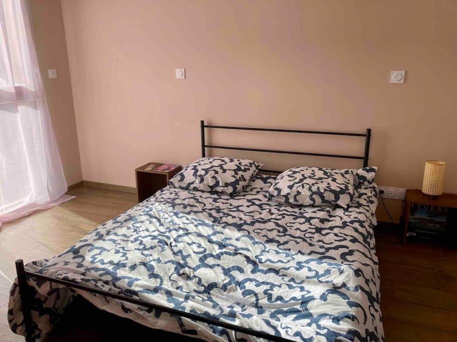 Quai Sud - Gare, 100 M2, Parking, Wifi, Superette, Lave Linge Leilighet Angers Eksteriør bilde