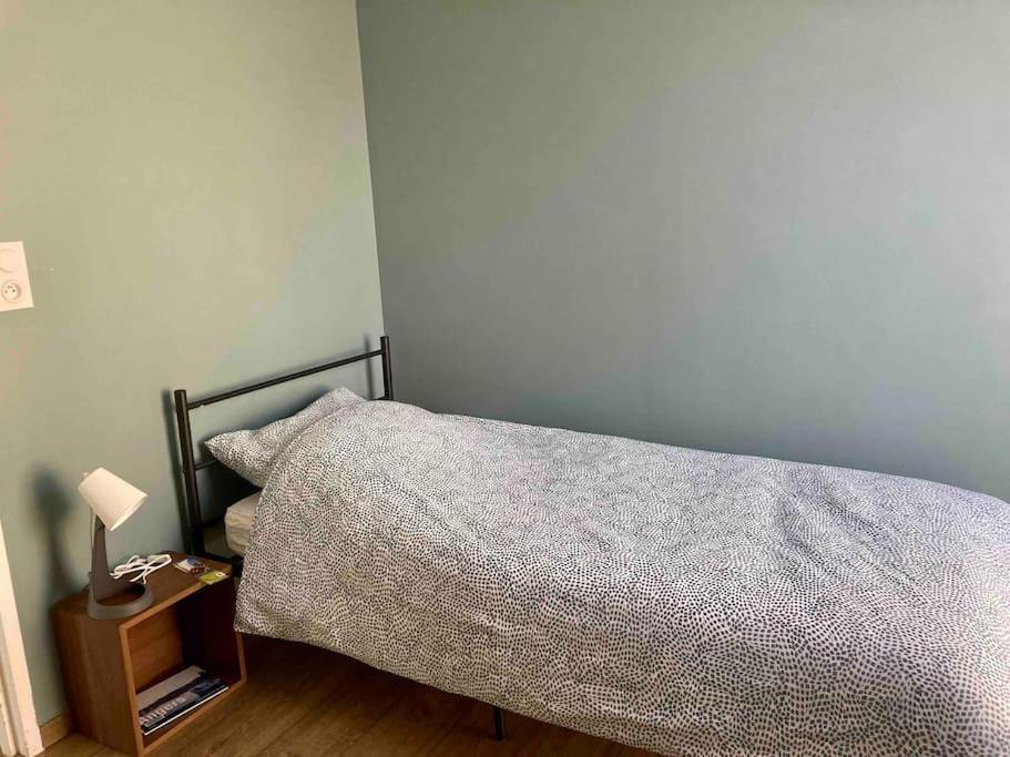 Quai Sud - Gare, 100 M2, Parking, Wifi, Superette, Lave Linge Leilighet Angers Eksteriør bilde